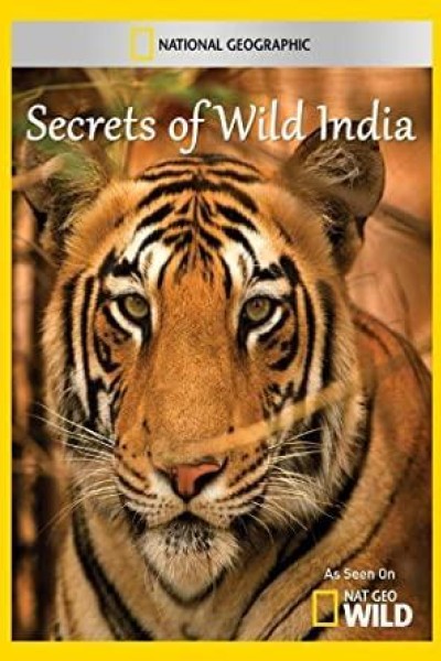 Caratula, cartel, poster o portada de Secrets of Wild India