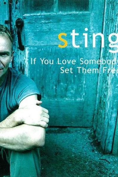 Cubierta de Sting: If You Love Somebody Set Them Free (Vídeo musical)