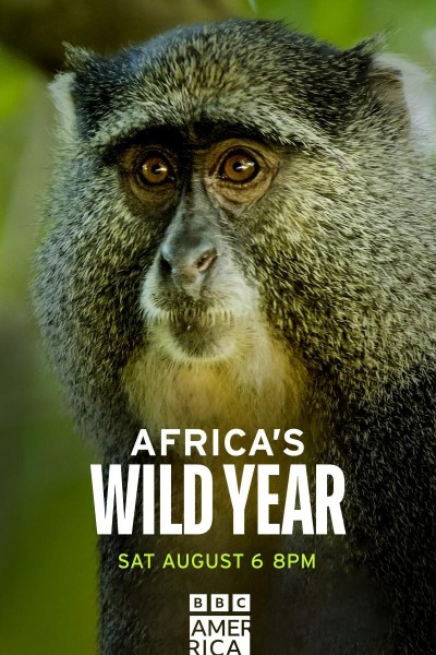 Caratula, cartel, poster o portada de África, las cuatro estaciones