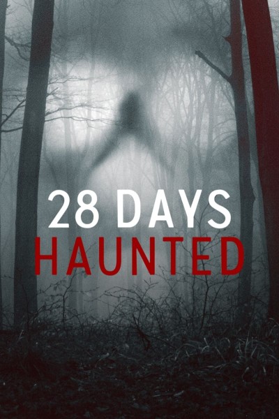 Caratula, cartel, poster o portada de 28 días paranormales