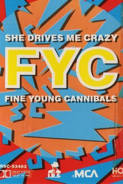 Cubierta de Fine Young Cannibals: She Drives Me Crazy (Vídeo musical)