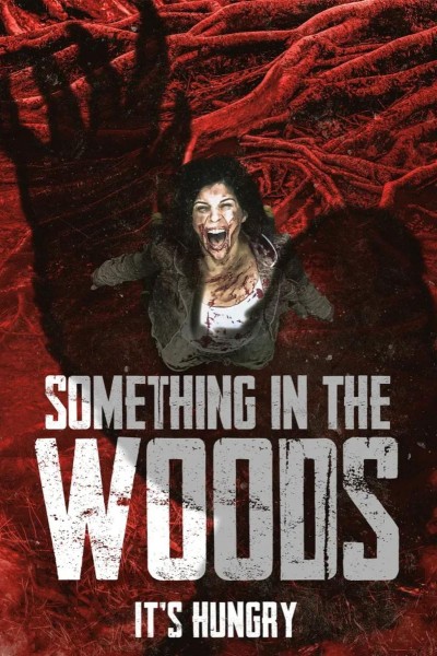 Caratula, cartel, poster o portada de Something in the Woods