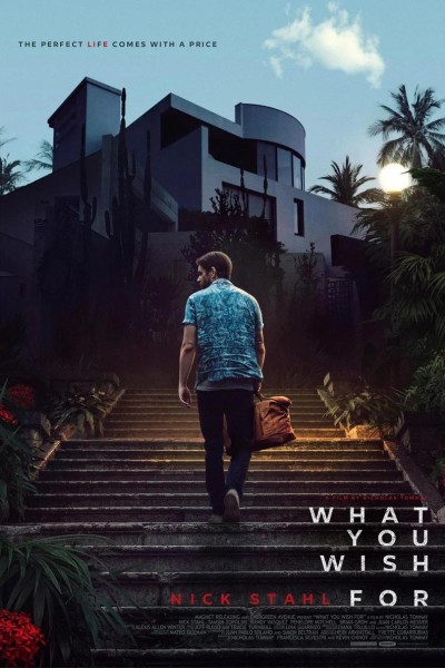 Caratula, cartel, poster o portada de What You Wish For