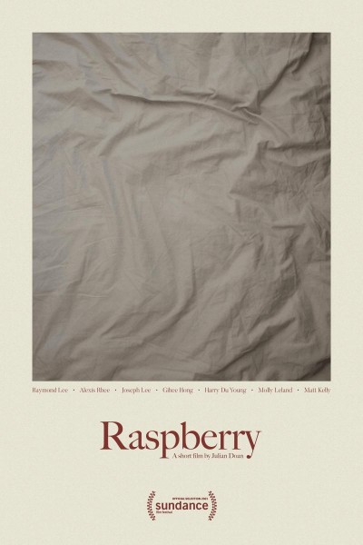 Cubierta de Raspberry