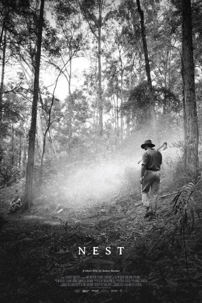 Caratula, cartel, poster o portada de Nest