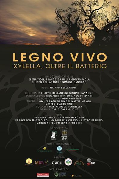 Cubierta de Legno vivo: Xylella, oltre il batterio