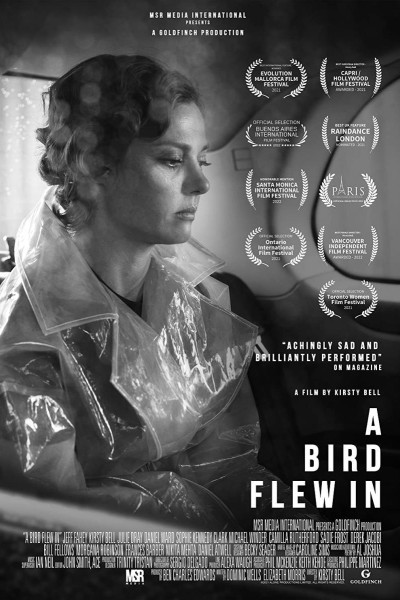Caratula, cartel, poster o portada de A Bird Flew In