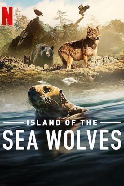 Caratula, cartel, poster o portada de La isla de los lobos costeros