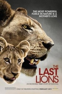 Caratula, cartel, poster o portada de The Last Lions