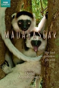 Caratula, cartel, poster o portada de Madagascar