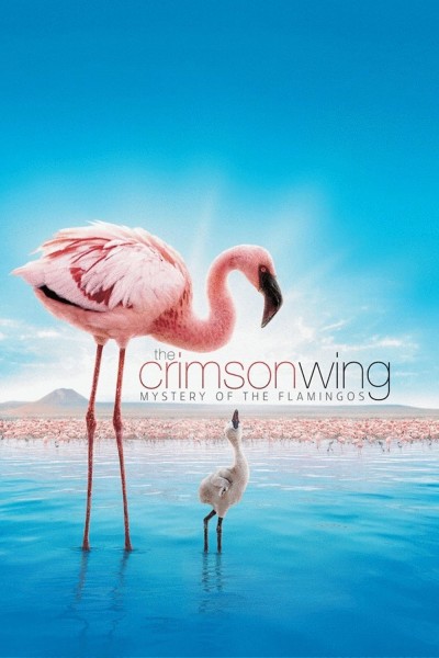 Caratula, cartel, poster o portada de The Crimson Wing: Mystery of the Flamingos