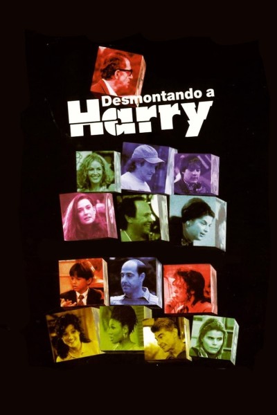 Caratula, cartel, poster o portada de Desmontando a Harry