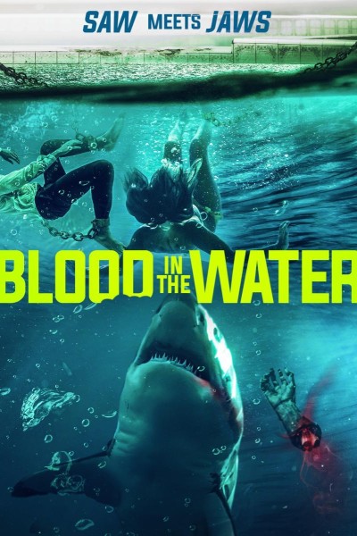 Caratula, cartel, poster o portada de Blood in the Water