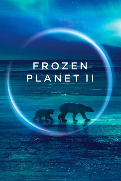 Caratula, cartel, poster o portada de Planeta helado II