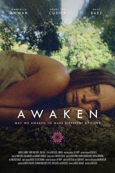 Caratula, cartel, poster o portada de Awaken