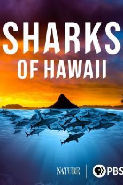 Caratula, cartel, poster o portada de Sharks of Hawaii