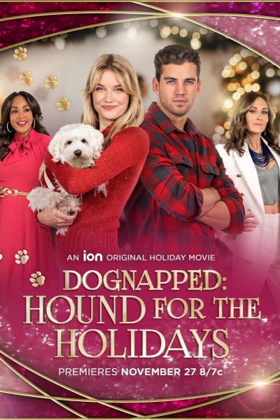 Caratula, cartel, poster o portada de Dognapped: Hound for the Holidays