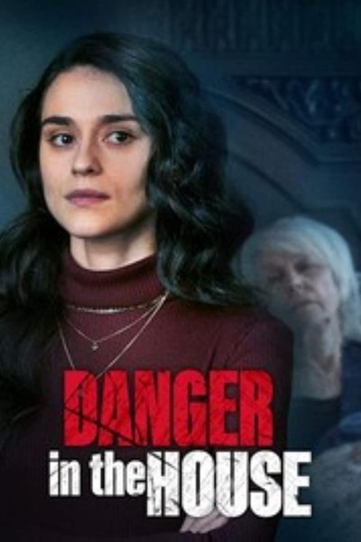 Caratula, cartel, poster o portada de Danger in the House