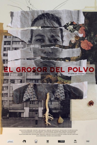 Caratula, cartel, poster o portada de El grosor del polvo