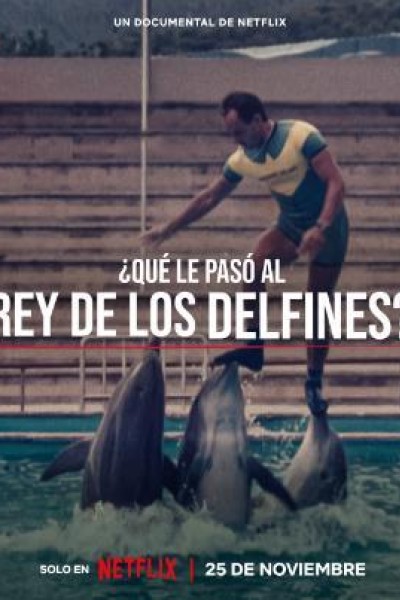Caratula, cartel, poster o portada de ¿Qué le pasó al rey de los delfines?