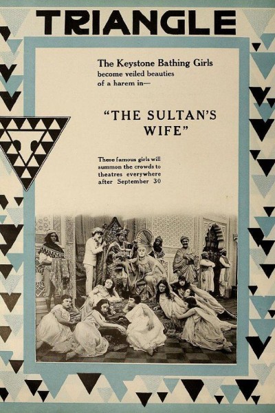 Cubierta de The Sultan\'s Wife