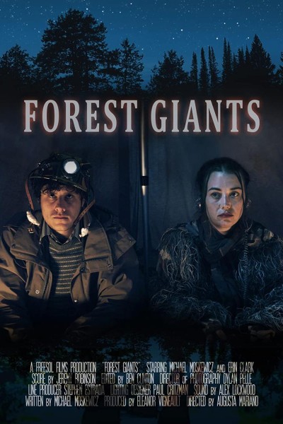 Caratula, cartel, poster o portada de Forest Giants