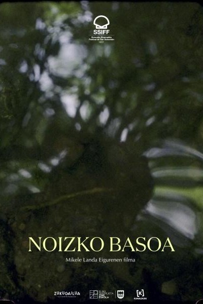 Caratula, cartel, poster o portada de Noizko Basoa