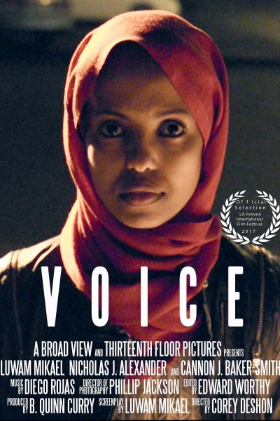Caratula, cartel, poster o portada de Voice