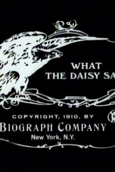 Caratula, cartel, poster o portada de What the Daisy Said