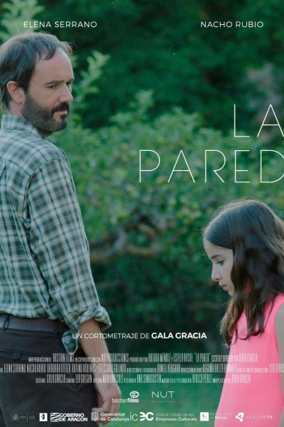 Caratula, cartel, poster o portada de La Pared