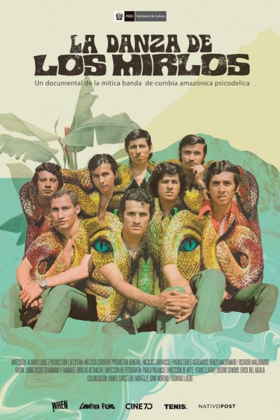 Caratula, cartel, poster o portada de La danza de Los Mirlos