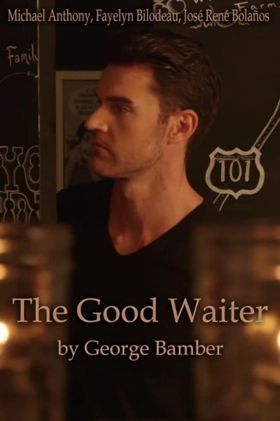 Cubierta de The Good Waiter