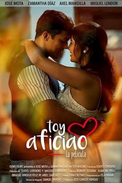 Caratula, cartel, poster o portada de Toy Aficiao