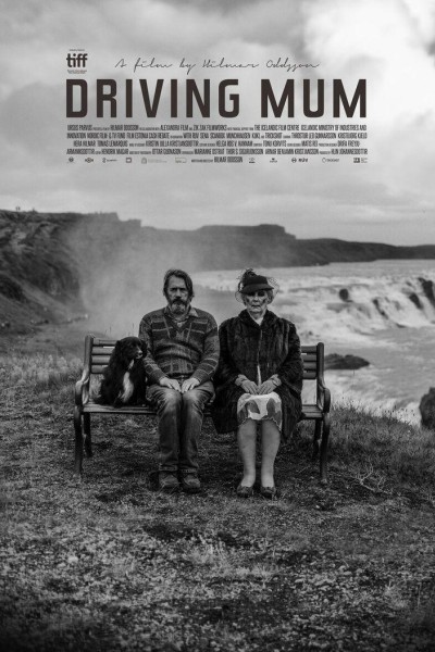 Caratula, cartel, poster o portada de Driving Mum