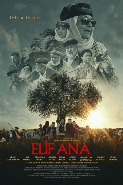 Caratula, cartel, poster o portada de Elif Ana