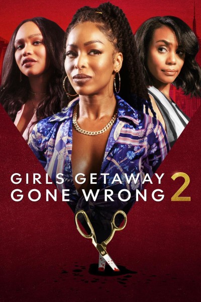 Caratula, cartel, poster o portada de Girls Getaway Gone Wrong 2