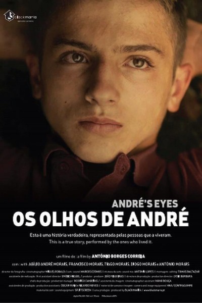 Caratula, cartel, poster o portada de Os Olhos de André
