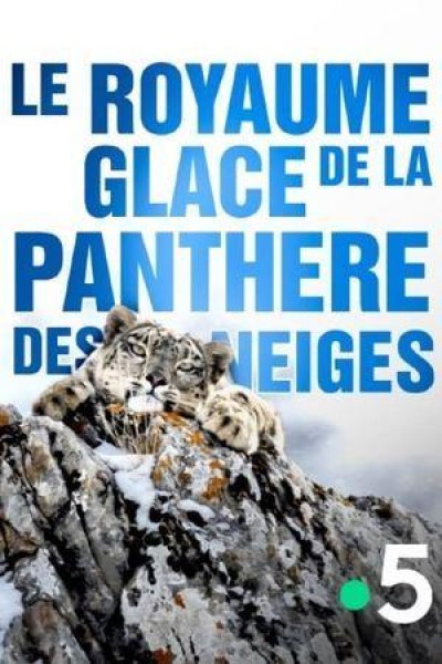 Caratula, cartel, poster o portada de El reino helado del leopardo de las nieves