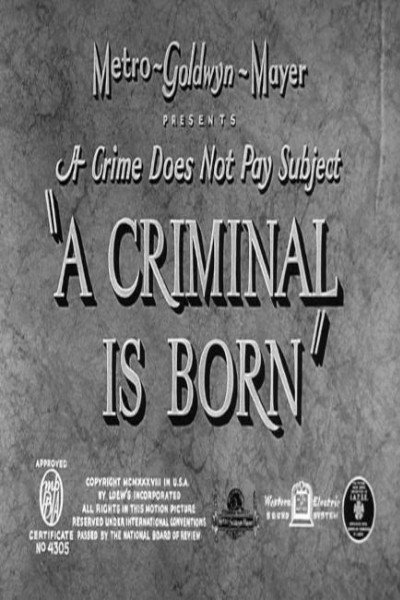 Cubierta de A Criminal Is Born