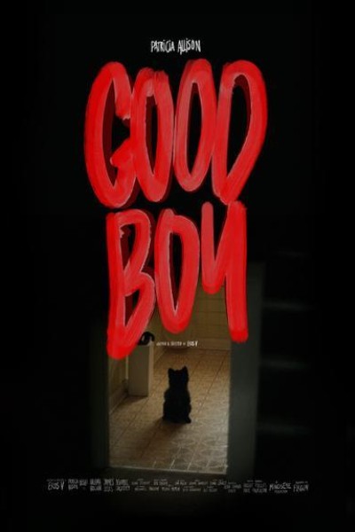 Caratula, cartel, poster o portada de Good Boy