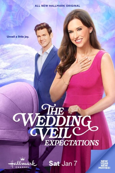 Caratula, cartel, poster o portada de The Wedding Veil Expectations