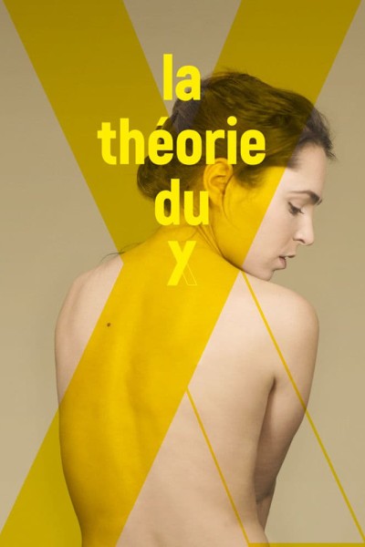 Caratula, cartel, poster o portada de La Théorie du Y