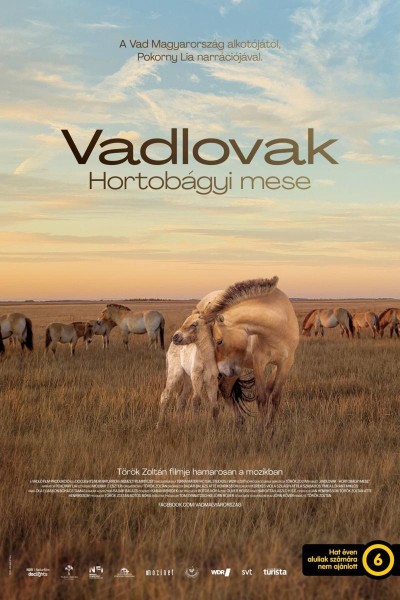 Caratula, cartel, poster o portada de Wild Horses: A Tale from the Puszta