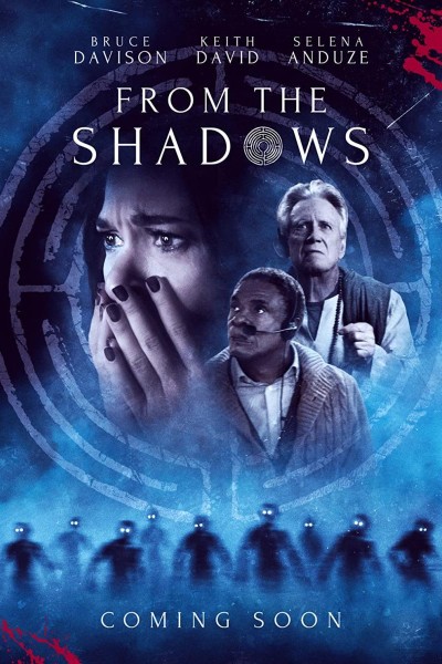 Caratula, cartel, poster o portada de From the Shadows