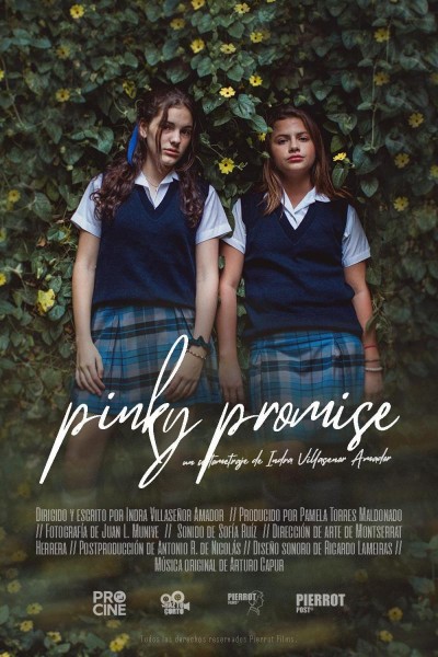 Caratula, cartel, poster o portada de Pinky Promise