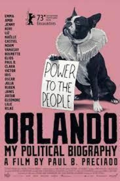 Caratula, cartel, poster o portada de Orlando, mi biografía política