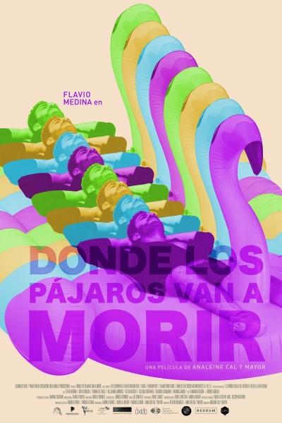 Caratula, cartel, poster o portada de Donde los pájaros van a morir