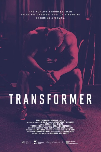 Caratula, cartel, poster o portada de Transformer