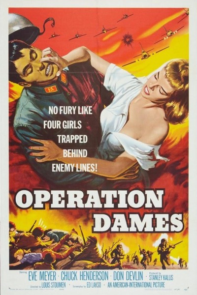 Caratula, cartel, poster o portada de Cercados (Operation Dames)