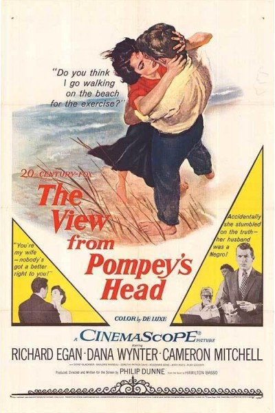 Caratula, cartel, poster o portada de The View from Pompey\'s Head